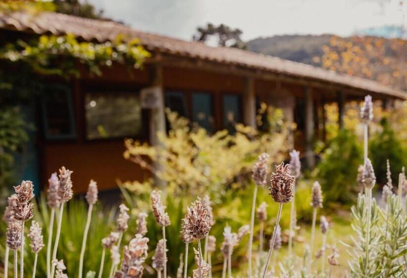 اتاق کلاسیک چهارنفره, Pousada Jardim Do Buda   Café E Piscina