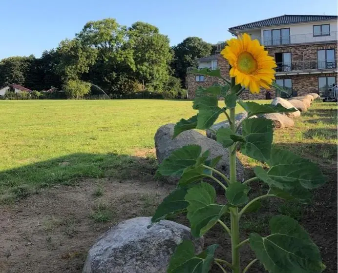 Huoneisto 1 Makuuhuone Pohjakerros, Appartements An Der Golfanlage