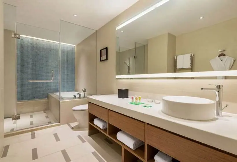 スタンダードシティビュールーム, Hyatt Place Chongli