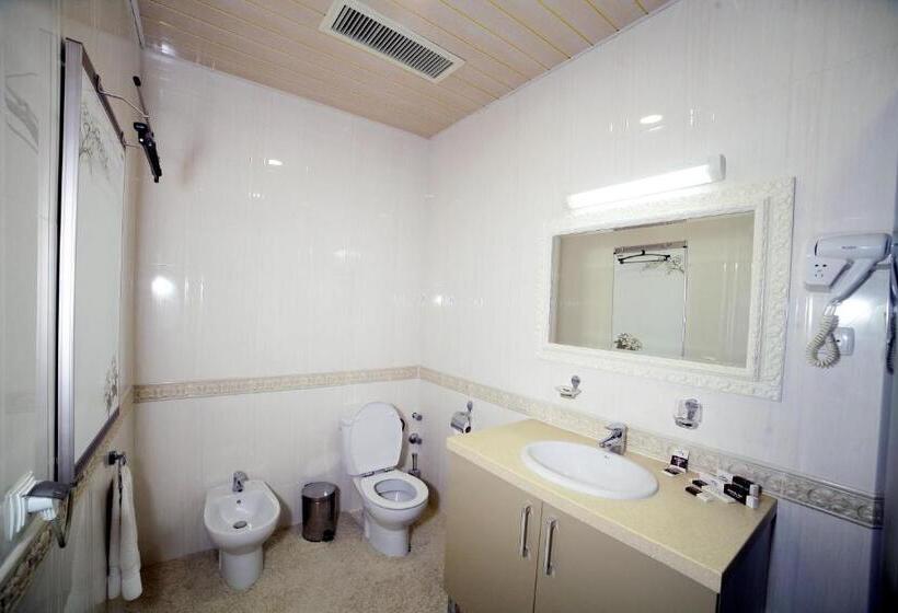 Habitació Deluxe, Residence Park