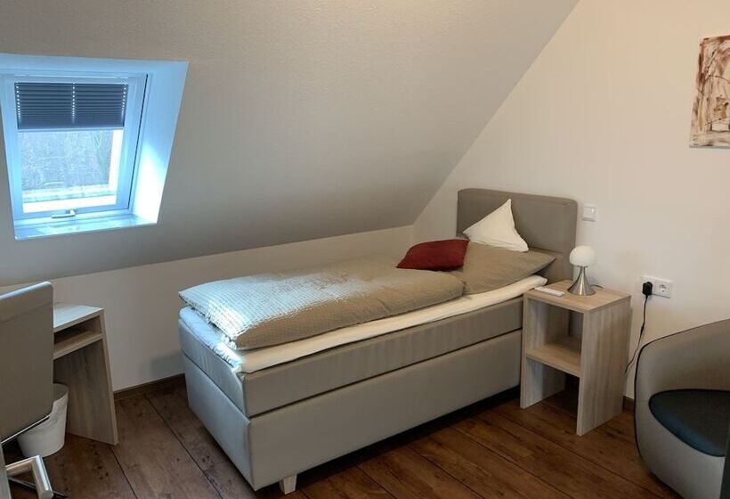 غرفة قياسية فردية, Stegmann's Hof