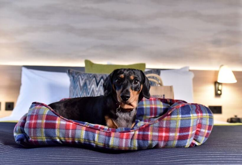 جناح, Staybridge Suites   Dundee, An Ihg