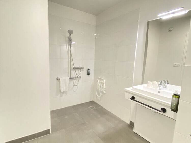 Студио Executive, All Suites Appart Hôtel Massy Palaiseau