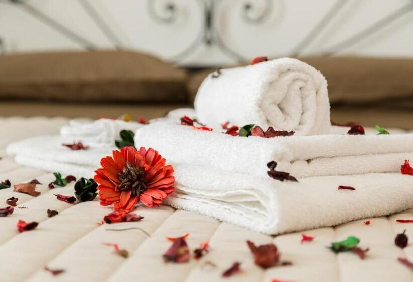 经济房, Villa Rosina