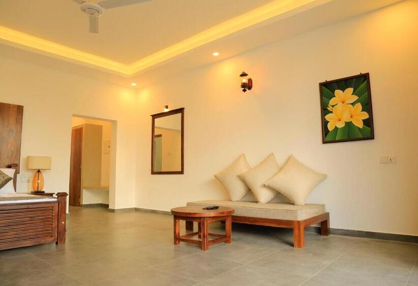 带大床的标准间, Tara Watergate