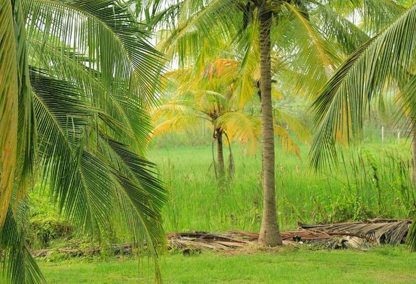 家庭间, Tara Watergate