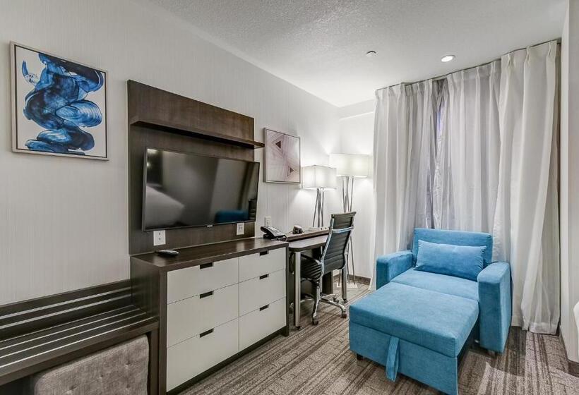 Standard Studio Kingsize Bett, Est