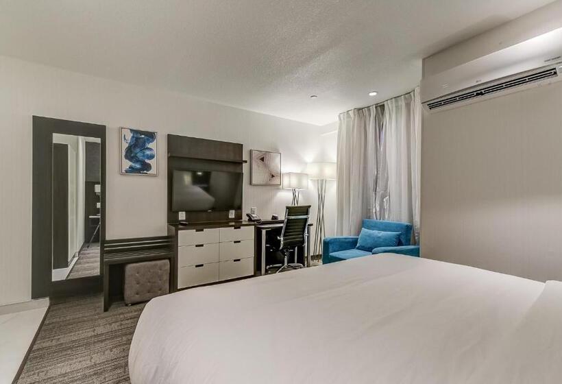 Standard Studio Kingsize Bett, Est