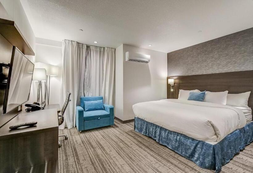 Standard Studio Kingsize Bett, Est