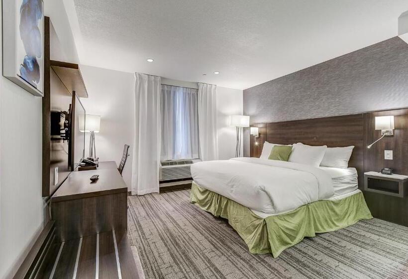 Standardzimmer Kingsize Bett, Est