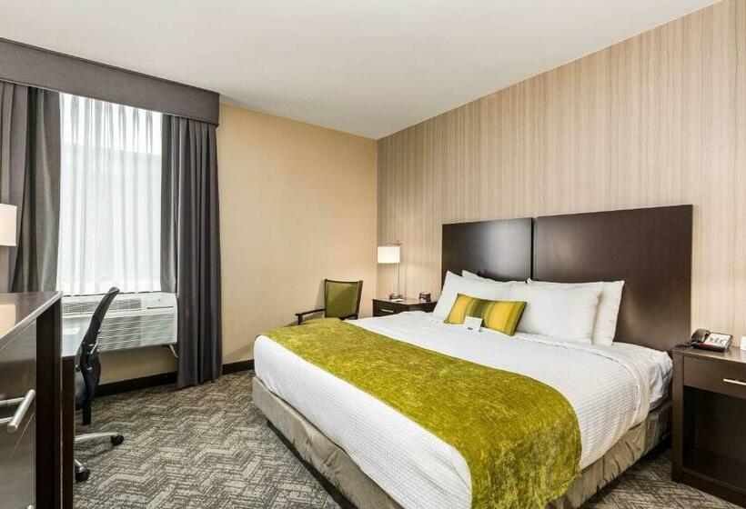 带大床的标准间, Best Western Plus Philadelphiapennsauken