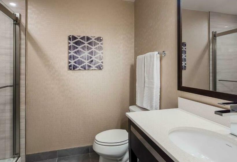 キングサイズベッドのスタンダードルーム, Best Western Plus Philadelphiapennsauken