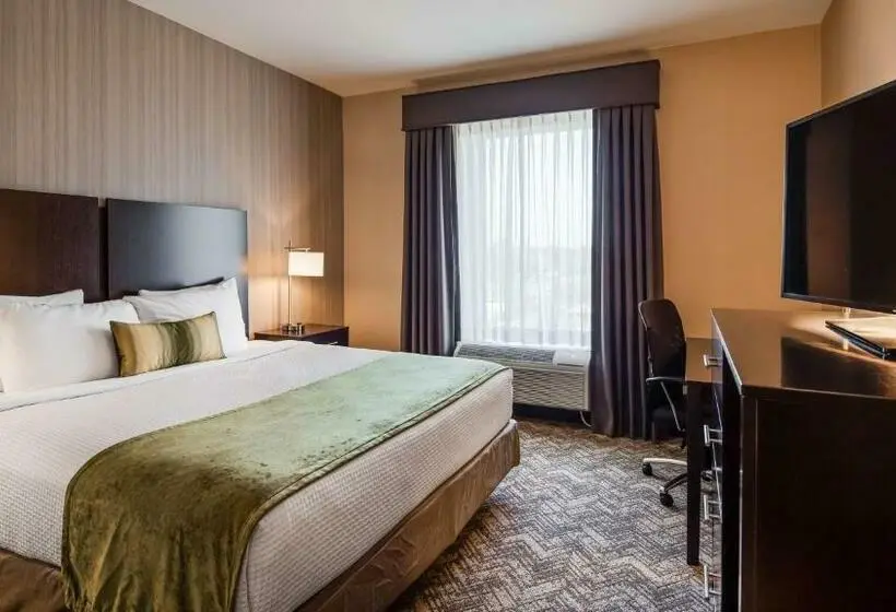 キングサイズベッドのスタンダードルーム, Best Western Plus Philadelphiapennsauken