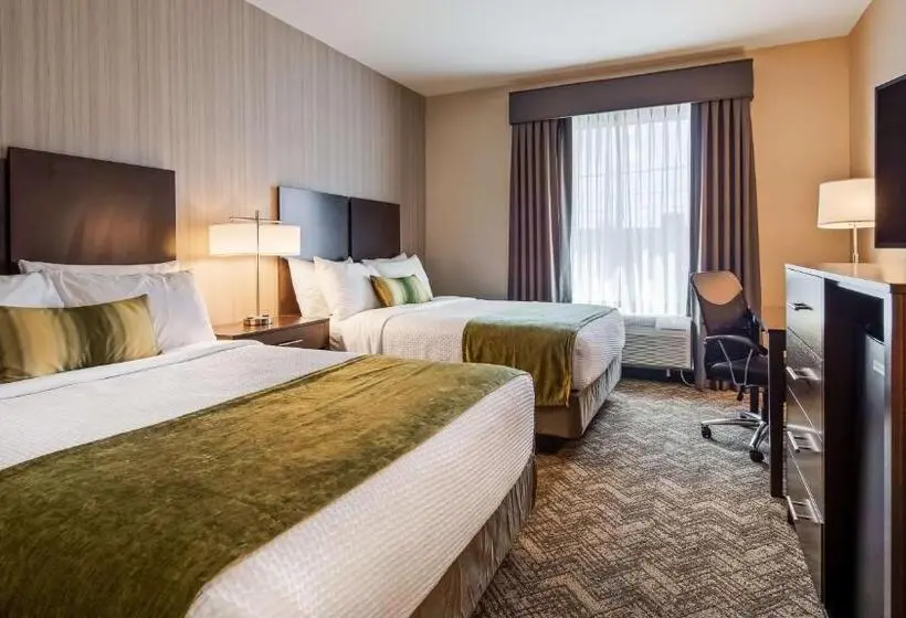 スタンダードルーム, Best Western Plus Philadelphiapennsauken