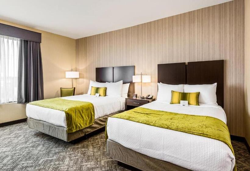 标准间, Best Western Plus Philadelphiapennsauken