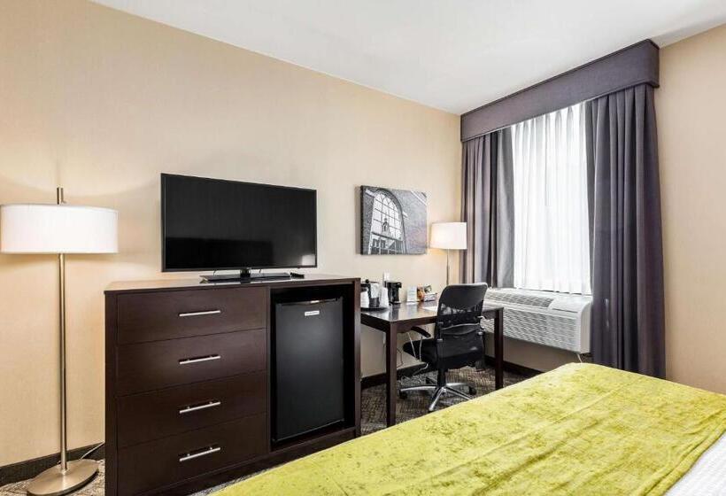 身障者適用キングサイズベッドルーム, Best Western Plus Philadelphiapennsauken
