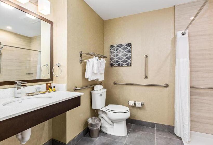 身障者適用キングサイズベッドルーム, Best Western Plus Philadelphiapennsauken
