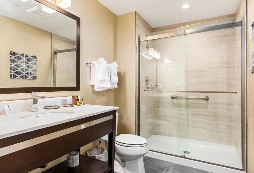 スタンダードルーム, Best Western Plus Philadelphiapennsauken