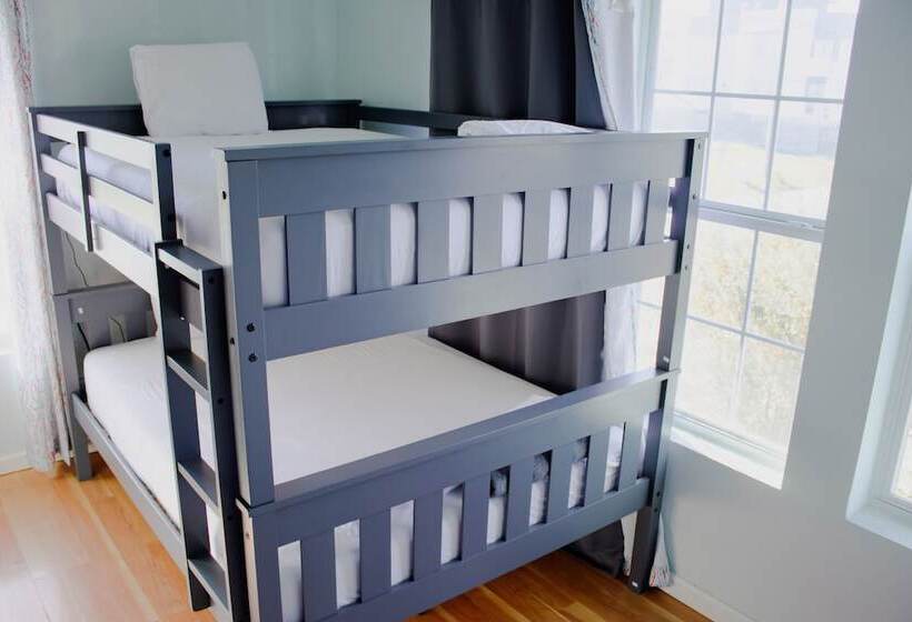 سرير فى غرفة مشتركه, Wanderstay Houston Hostel