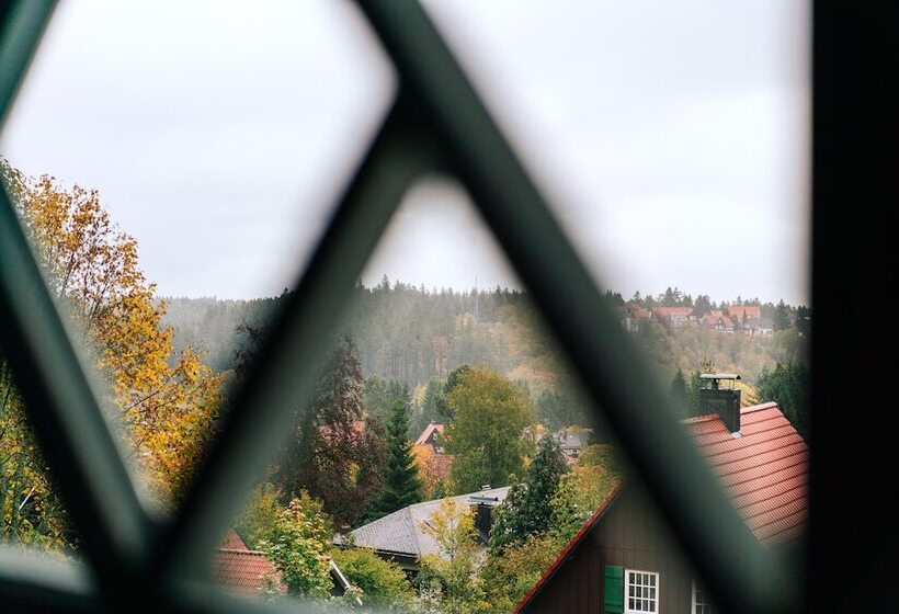 اتاق استاندارد, The Hearts Hotel Boutique Und Event Resort