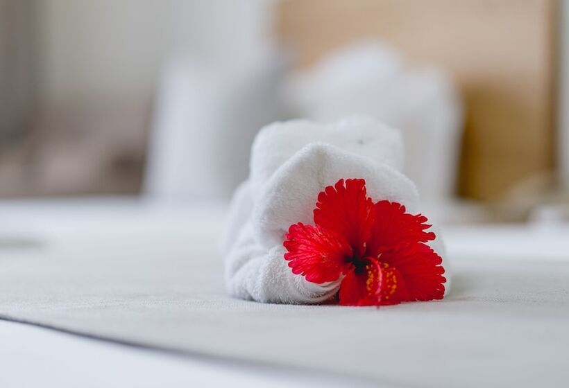 اتاق استاندارد با چشم‌انداز باغ, Nalagi