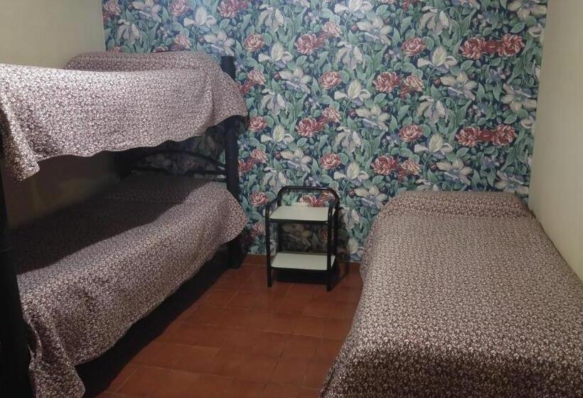 スタンダード４人部屋, Cirse