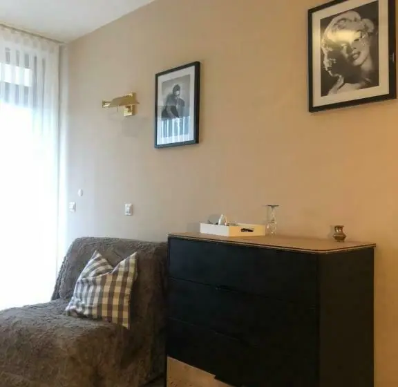 バルコニー付きシングルスタンダードルーム, Pension Ottenheide