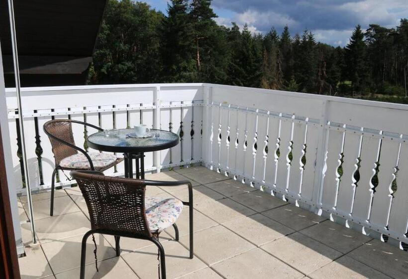 标准间带阳台, Pension Ottenheide