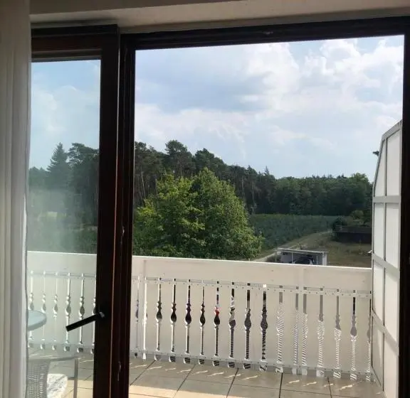 バルコニー付きスタンダードルーム, Pension Ottenheide
