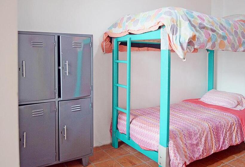 سرير فى غرفة مشتركه, Alternative Hostels