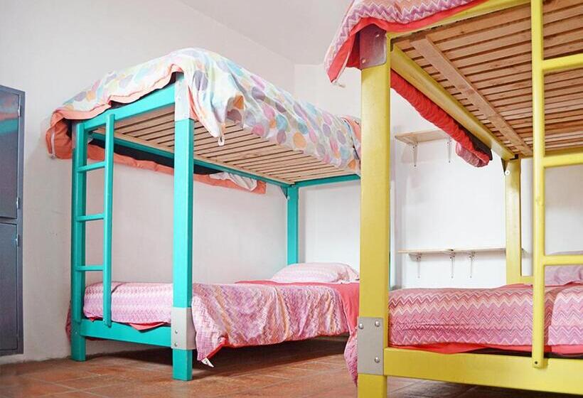Кровать в Общей Комнате, Alternative Hostels