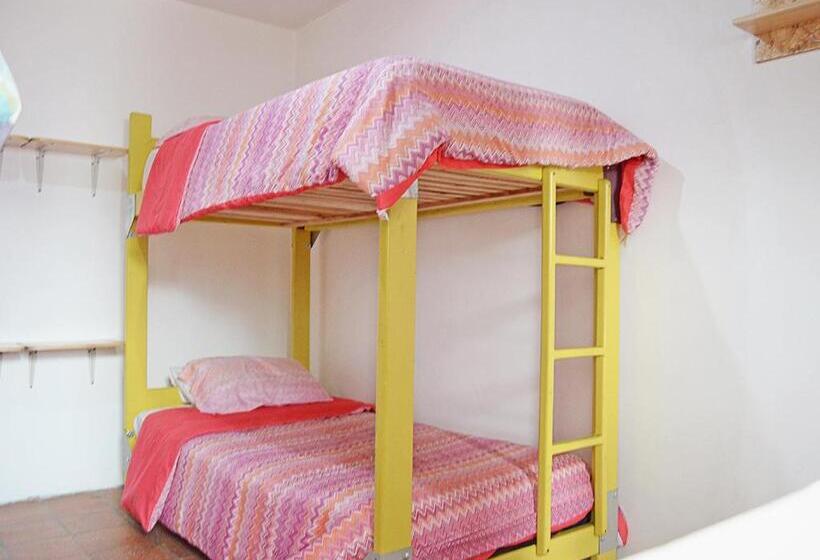 سرير فى غرفة مشتركه, Alternative Hostels