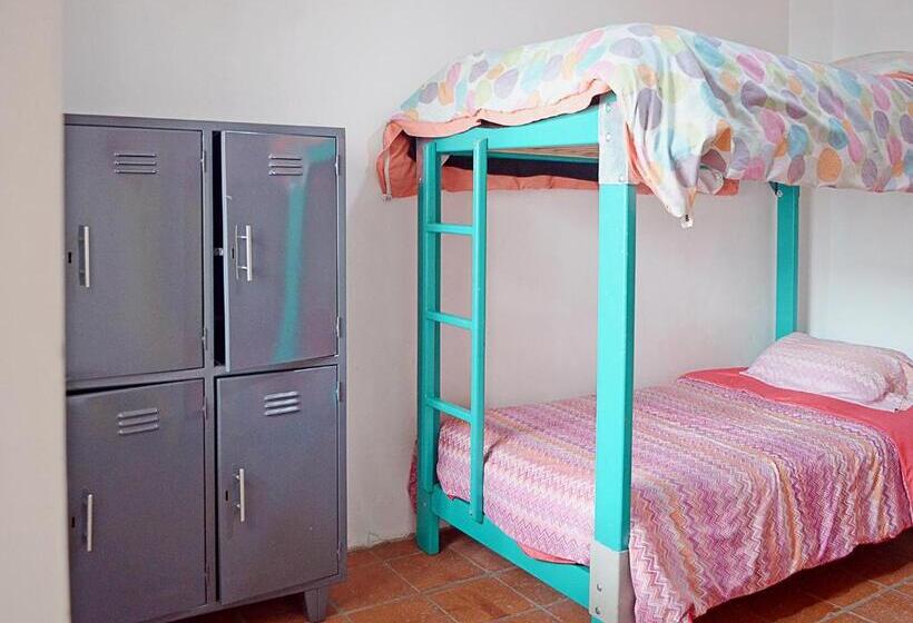 سرير فى غرفة مشتركه, Alternative Hostels