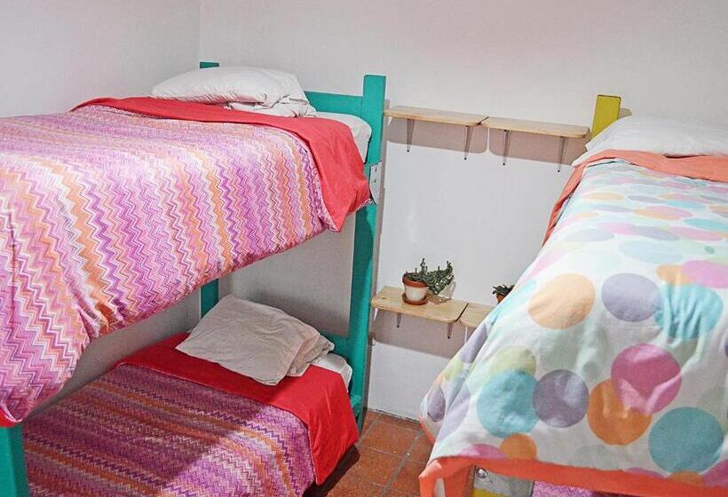 سرير فى غرفة مشتركه, Alternative Hostels