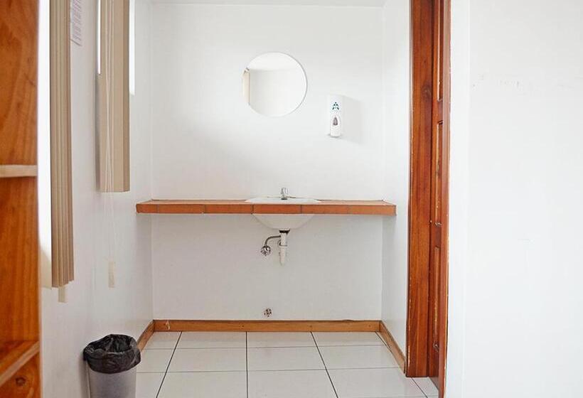 سرير فى غرفة مشتركه, Alternative Hostels