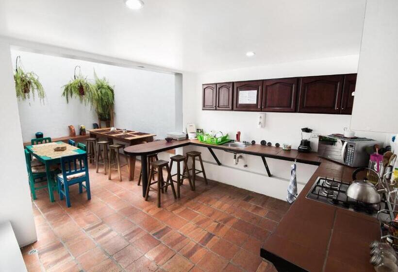 سرير فى غرفة مشتركه, Alternative Hostels