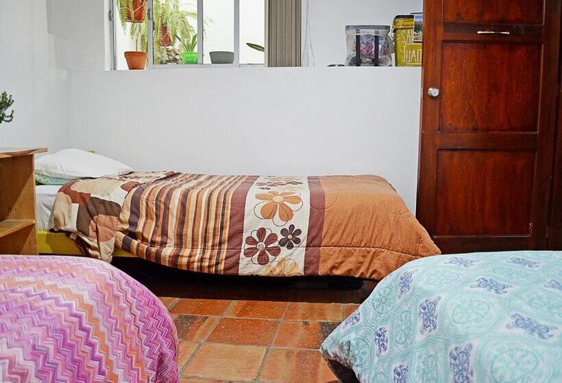 غرفة قياسية ثلاثية حمام مشترك, Alternative Hostels