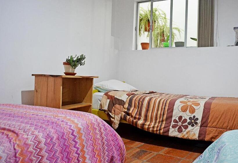 غرفة قياسية ثلاثية حمام مشترك, Alternative Hostels