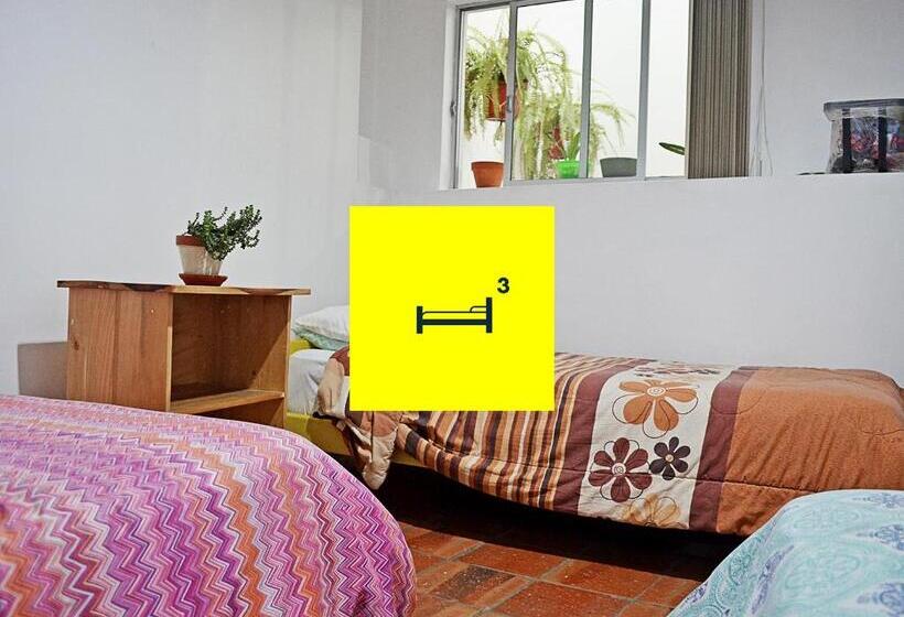 غرفة قياسية ثلاثية حمام مشترك, Alternative Hostels