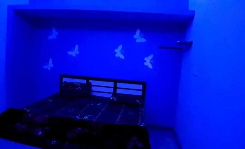 Номер Economy, Blue Eye Backpackers Hostel