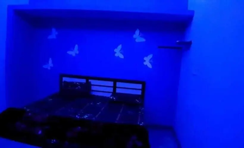 اتاق اکونومی, Blue Eye Backpackers Hostel