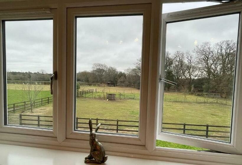 חדר סטנדרט, Graceland Farm B&b