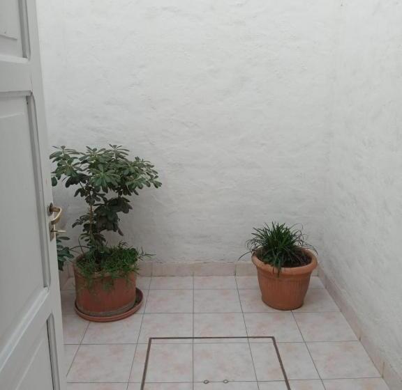 1 Yatak Odalı Zemin Kat Daire, Las Marias Apart