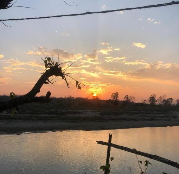 اتاق اکونومی یک تخته, Happy Lemon Tree Lodge