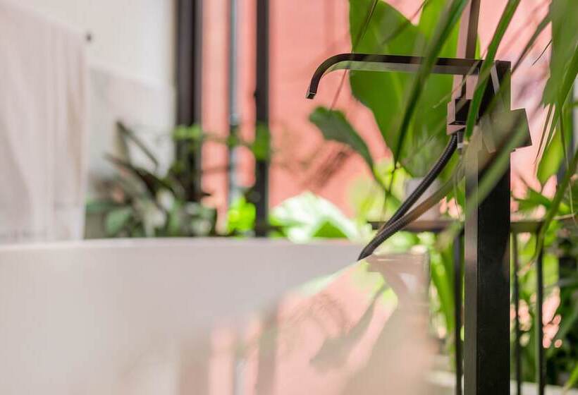 Люкс Superior, Orchid House Polanco