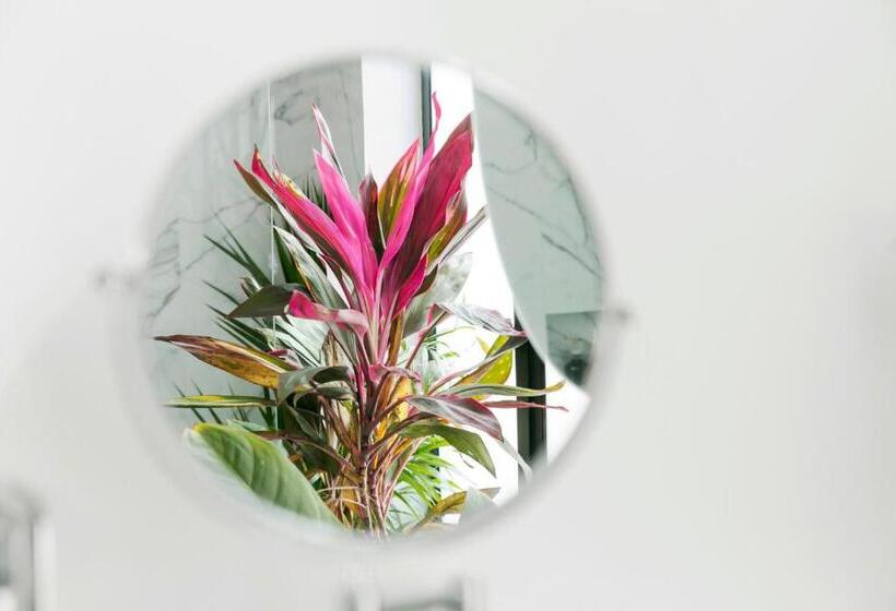 Люкс, Orchid House Polanco