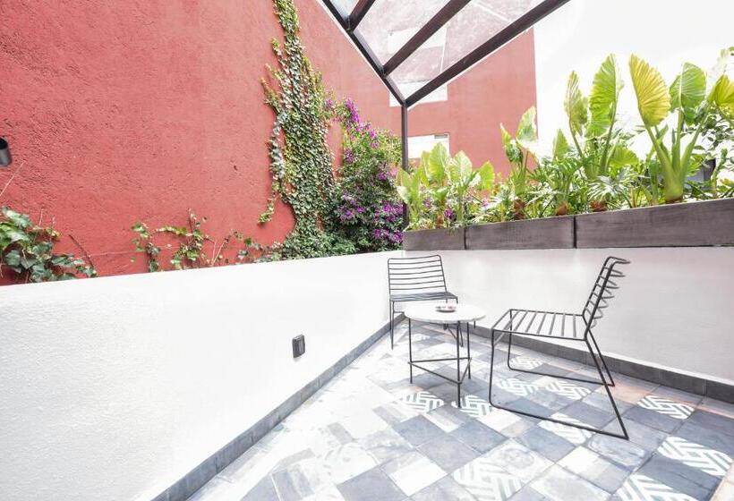 Номер Стандарт, Orchid House Polanco