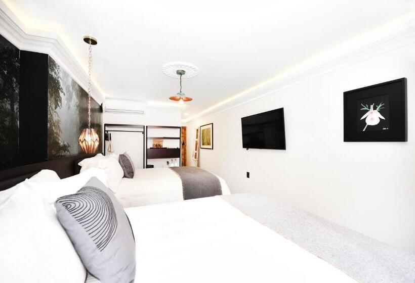 Номер Стандарт, Orchid House Polanco