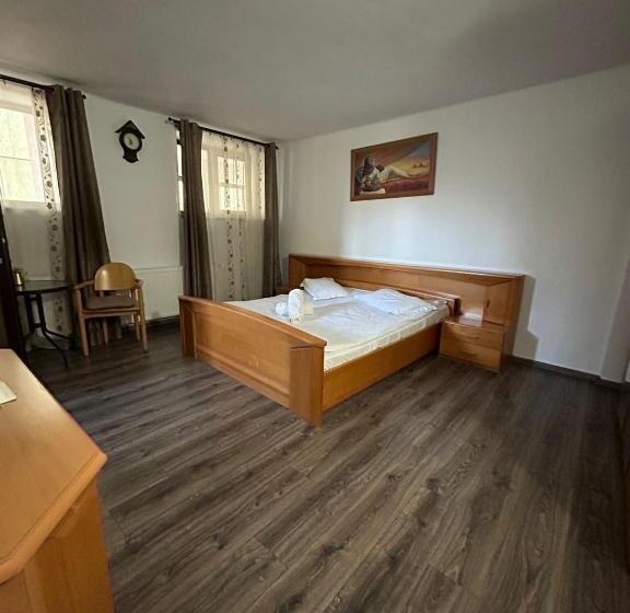Номер Стандарт, Vila Lion