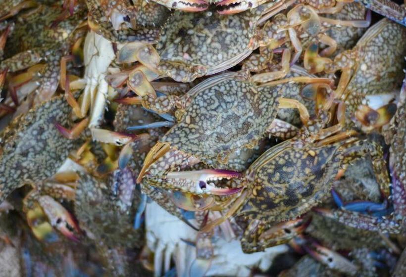 חדר סטנדרט, The Araliya Retreat